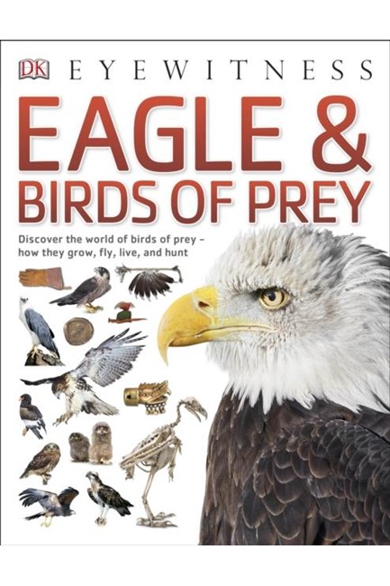 EAGLES & BIRDS OF PREY
