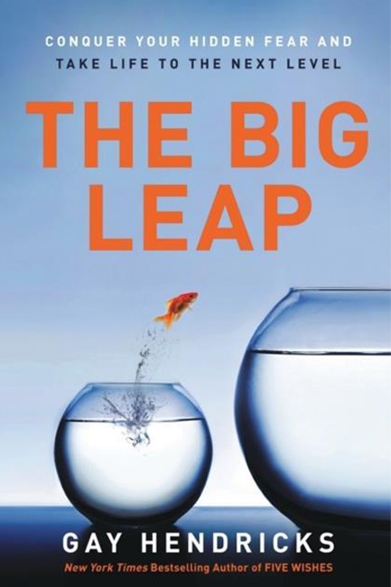 THE BIG LEAP : CONQUER YOUR HIDDEN FEAR AND TAKE LIFE TO THE NEXT LEVEL