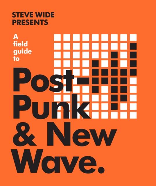 A FIELD GUIDE TO POST PUNK & NEW WAVE