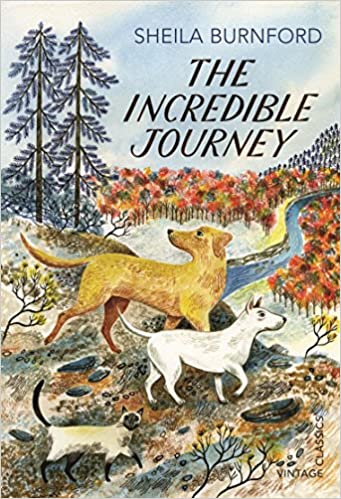 THE INCREDIBLE JOURNEY
