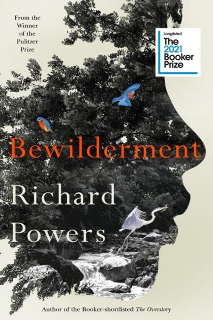 BEWILDERMENT TPB