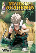 MY HERO ACADEMIA 29