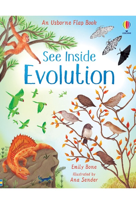 SEE INSIDE EVOLUTION HB