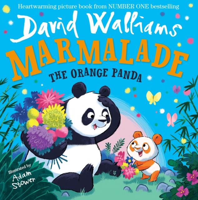 MARMALADE-THE ORANGE PANDA