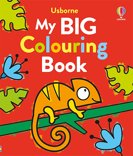 MY BIG COLOURING BOOK