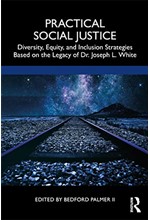 PRACTICAL SOCIAL JUSTICE : DIVERSITY, EQUITY, AND INCLUSION STRATEGIES BASED ON THE LEGACY OF DR. JO