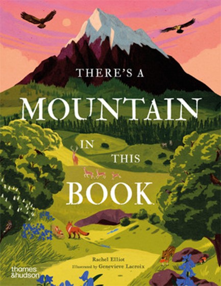 THERE'S A MOUNTAIN IN THIS BOOK HB