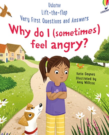 VERY FIRST QUESTIONS AND ANSWERS: WHY DO I (SOMETIMES) FEEL ANGRY?