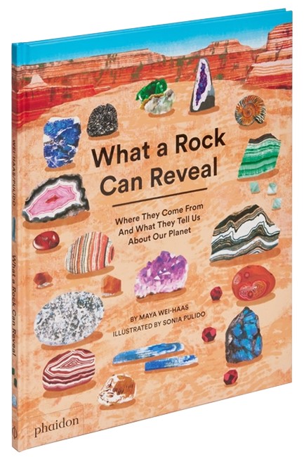 WHAT A ROCK CAN REVEAL HB