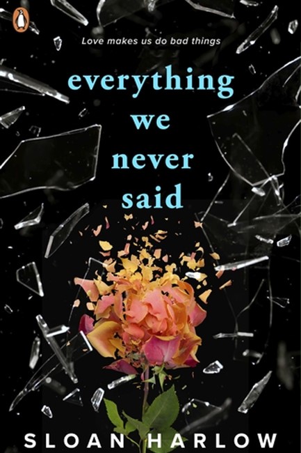 EVERYTHING WE NEVER SAID