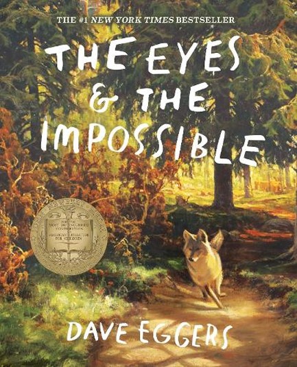 THE EYES AND THE IMPOSSIBLE
