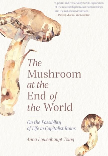THE MUSHROOM AT THE END OF THE WORLD: ON THE POSSIBILITY OF LIFE IN CAPITALIST RUINS