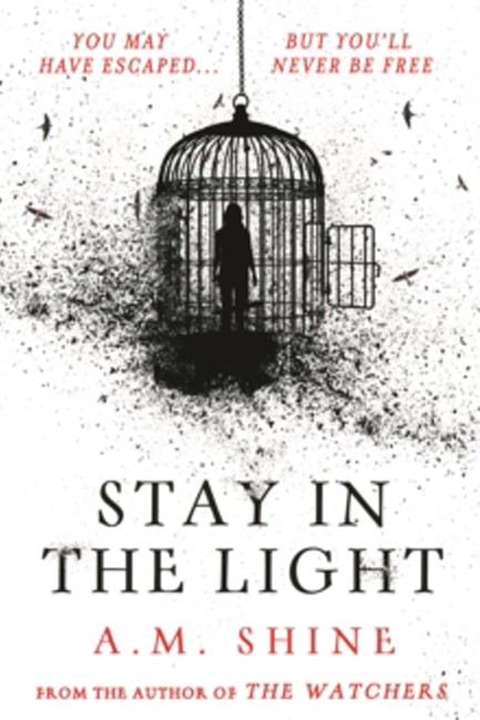 STAY IN THE LIGHT