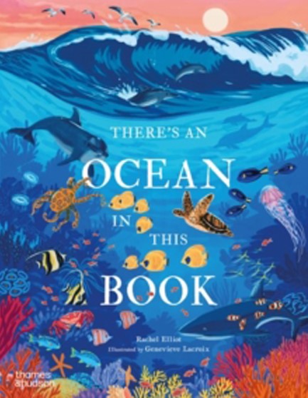 THERE'S AN OCEAN IN THIS BOOK HB