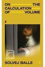 ON THE CALCULATION OF VOLUME I