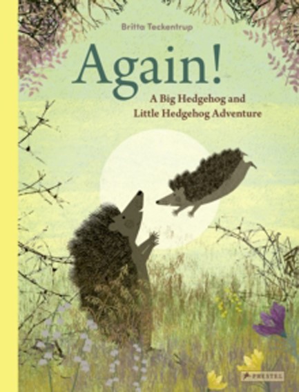 AGAIN! : A BIG HEDGEHOG AND LITTLE HEDGEHOG ADVENTURE