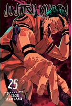 JUJUTSU KAISEN VOL.25