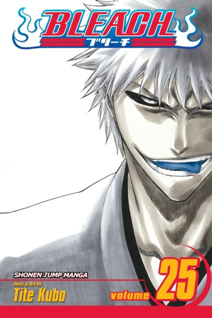 BLEACH VOL.25