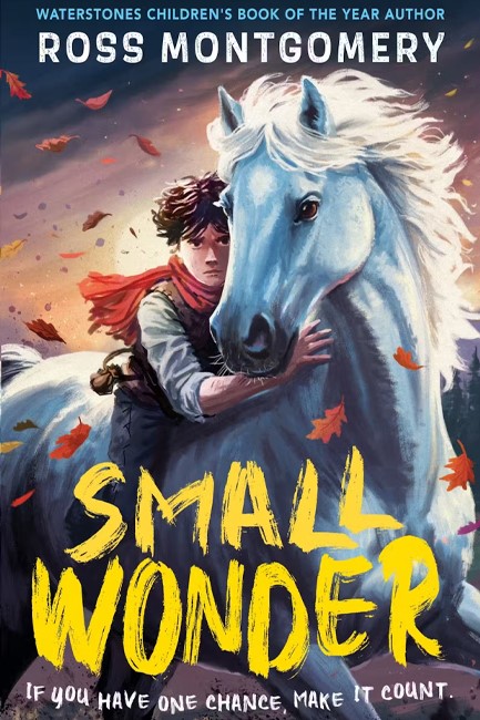 SMALL WONDER