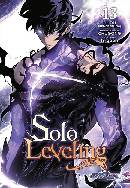 SOLO LEVELING 13
