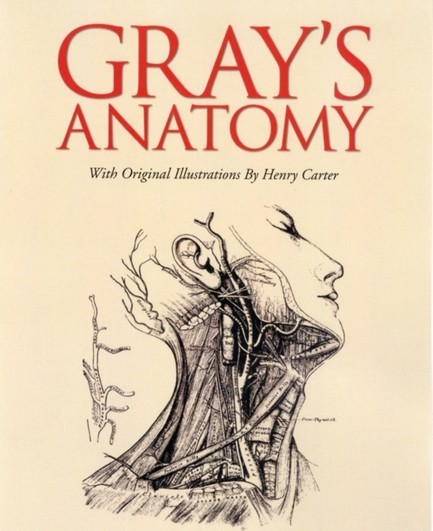 GRAYS ANATOMY