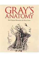 GRAYS ANATOMY