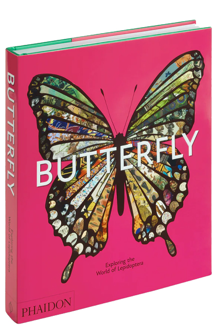 BUTTERFLY : EXPLORING THE WORLD OF LEPIDOPTERA