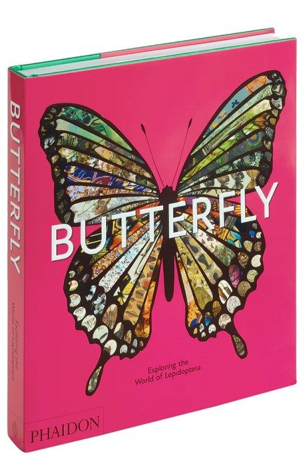 BUTTERFLY : EXPLORING THE WORLD OF LEPIDOPTERA