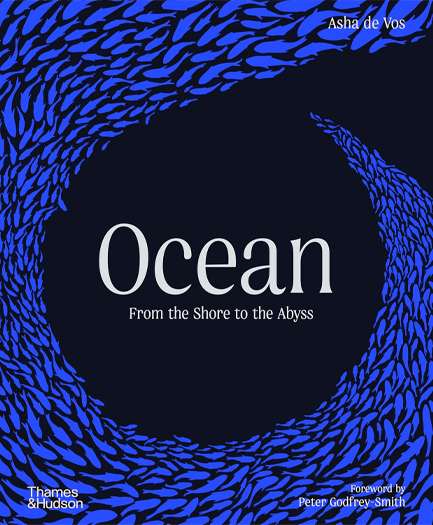 OCEAN FROM THE SHORE TO THE ABYSS