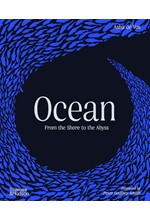 OCEAN FROM THE SHORE TO THE ABYSS