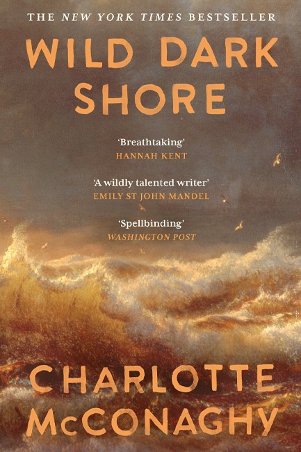 WILD DARK SHORE