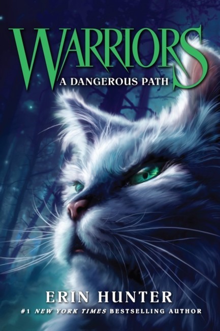 WARRIORS BOOK 5: A DANGEROUS PATH