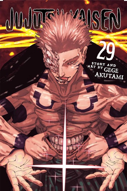 JUJUTSU KAISEN VOL.29