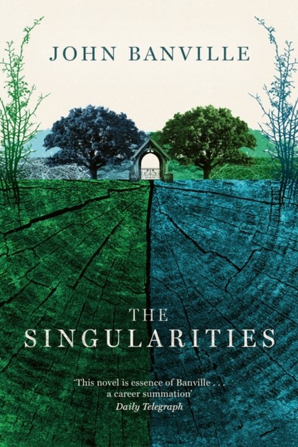 THE SINGULARITIES