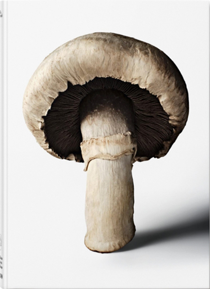 THE GOURMAND'S MUSHROOM A COLLECTION OF STORIES AND RECIPES