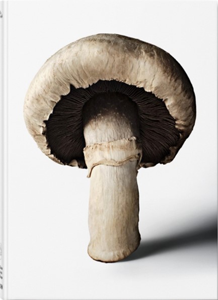 THE GOURMAND'S MUSHROOM A COLLECTION OF STORIES AND RECIPES
