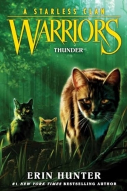 WARRIORS: A STARLESS CLAN 04: THUNDER