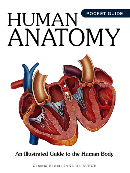 HUMAN ANATOMY : AN ILLUSTRATED GUIDE TO THE HUMAN BODY