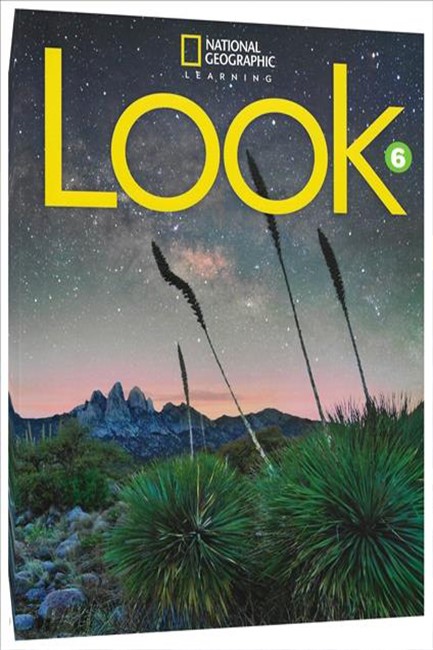 LOOK 6 SB - BRE
