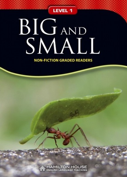NFGR 1: BIG AND SMALL
