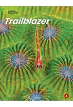 TRAILBLAZER 4 SB ( + SPARK)