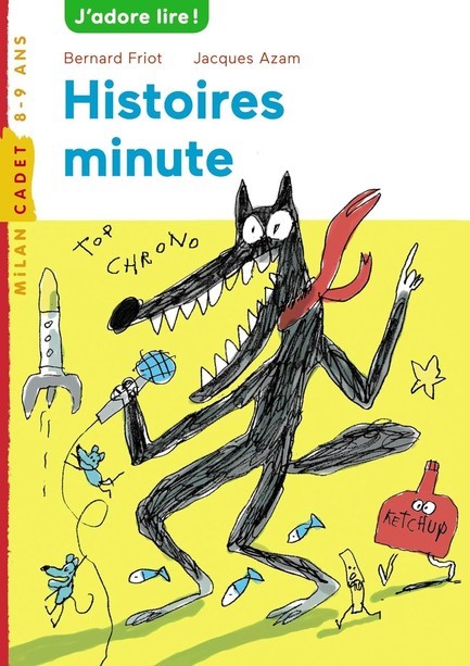 HISTOIRE MINUTE
