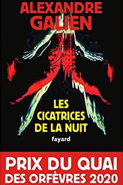 LES CICATRICES DE LA NUIT
