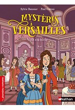 MYSTERES A VERSAILLES - VOLS EN SERIE