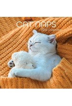 ΗΜΕΡΟΛΟΓΙΟ THE GIFTED COMPANY 26 CAT NAPS 30*30 ΤΟΙΧΟΥ