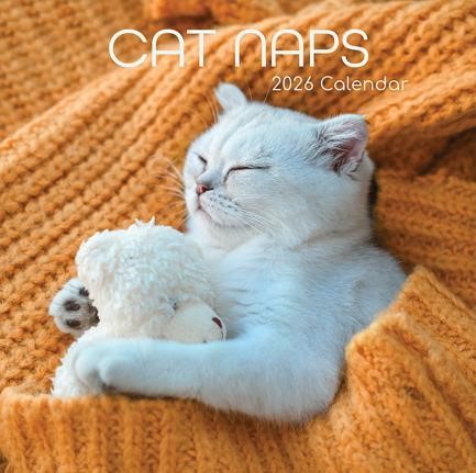 ΗΜΕΡΟΛΟΓΙΟ THE GIFTED COMPANY 26 CAT NAPS 30*30 ΤΟΙΧΟΥ