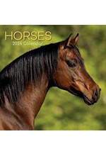 ΗΜΕΡΟΛΟΓΙΟ THE GIFTED COMPANY 26 HORSES 30*30 ΤΟΙΧΟΥ