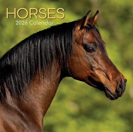 ΗΜΕΡΟΛΟΓΙΟ THE GIFTED COMPANY 26 HORSES 30*30 ΤΟΙΧΟΥ