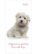 ΗΜΕΡΟΛΟΓΙΟ THE GIFTED COMPANY 26 ADORABLE DOGS 08*17 ATZENTA ΕΒΔΟΜΑΔΙΑΙA