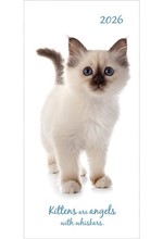 ΗΜΕΡ.THE GIFTED COMPANY 26 CUTE KITTENS 08*17 ΑΤΖΕΝΤΑ ΕΒΔΟΜΑΔΙΑΙΑ